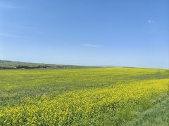 -扁都口生态休闲旅游区