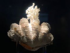 -中国湿地博物馆