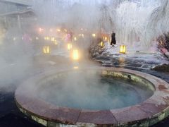 -陆地游轮吉林神农温泉