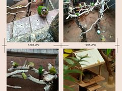 -正佳雨林生态植物园