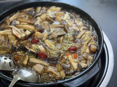 -江川野生菌火锅铜锅鱼(贵清火锅店)