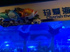 -成都浩海立方海洋公园