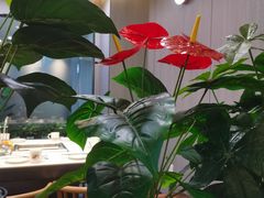 -重庆大队长火锅(凤城八路店)