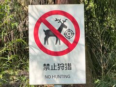 -九峰山