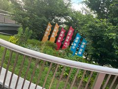 -澹台湖公园