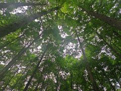 -小格里自然风景区