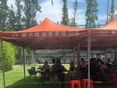 -前小桔亲子创意农场·草莓采摘·露营烧烤