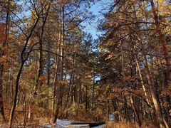 -帽儿山国家森林公园