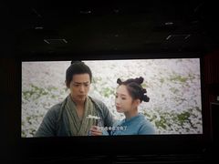 -新影联·华谊兄弟影院(望京店)