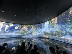 -中国湿地博物馆