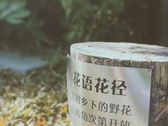 -福田红树林生态公园