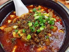 邵子牛脊髓-曾牛肉