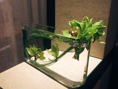 -北京三里屯CHAO酒店