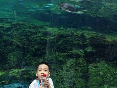 -西海国立公园九十九岛水族馆