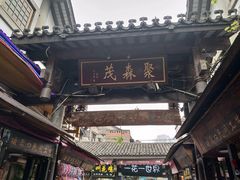-胖娃古镇鸡杂(磁器口总店)