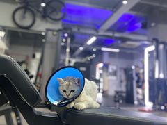 -AK健身普拉提拉伸私教馆(中八店)