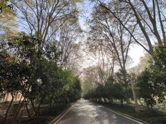 -河南省黄河迎宾馆