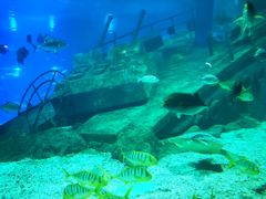 -福州罗源湾海洋世界旅游区