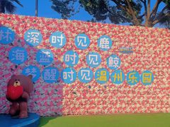 -温州乐园