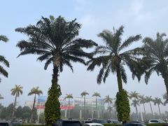 -德宏芒市国际机场