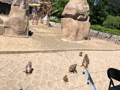 -哈尔滨北方森林动物园