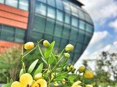 -上海滴水湖皇冠假日酒店