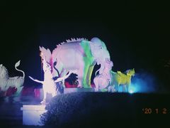景点-清迈夜间动物园