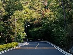 -狐尾山公园