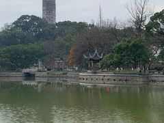 -江心屿景区