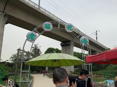 -秀丽东方
