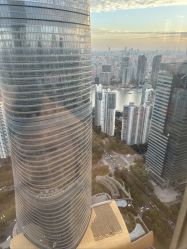 -上海金茂君悦大酒店·宴会厅