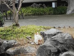 -日出青木·杭帮菜名店