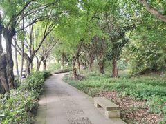 -大渡口区义渡公园