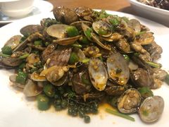 -三猫黑鱼花(南大店)