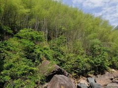 -黄山翡翠谷景区