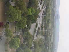 山明水秀大酒店-山明水秀大饭店