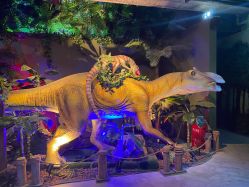 -恐龙探索乐园(磁器口店)