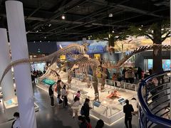 -国家自然博物馆