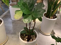 -娜娜家·Nana's restaurant(国金汇店)