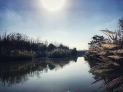 -白鹭湾湿地公园