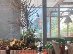 -芭缇沁园椰子鸡(中航紫金新天地店)