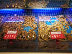 -必点海鲜·鲅鱼水饺(鞍山西道店)