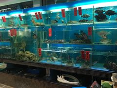 -海大大蒸汽海鲜餐厅·粤菜·特色小炒(欢乐颂店)