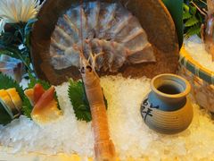 -Mr.Fish鱼鲜生海鲜放题(高德置地冬广场店)