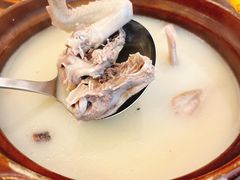 滋补药材鸽-富哥食店