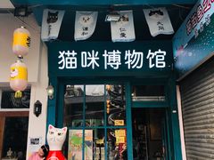 -猫咪博物馆(顶澳仔猫街店)