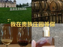-北京张裕爱斐堡酒庄