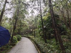 -冶父山国家森林公园