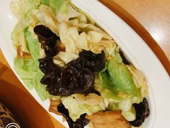 云耳白菜爆豆腐-渝湘江南(律纬路店)