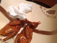 -鸽子侯·家宴·平价海鲜(市图书馆店)